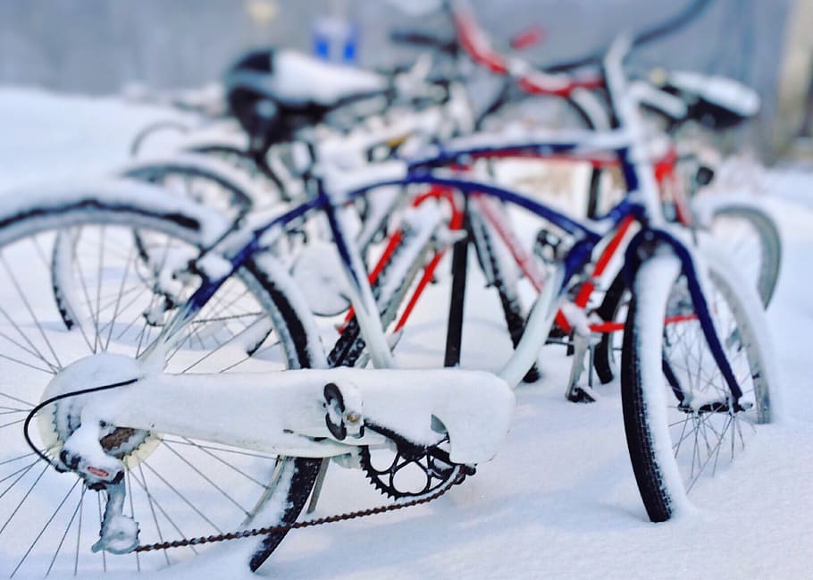 bicycles, winter, snow, cold, transportation, cold temperature HD wallpaper