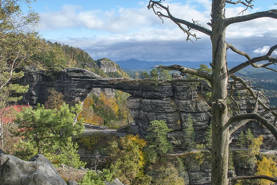 czech republic, rock, gateway, tree, plant, mountain, sky, nature HD wallpaper
