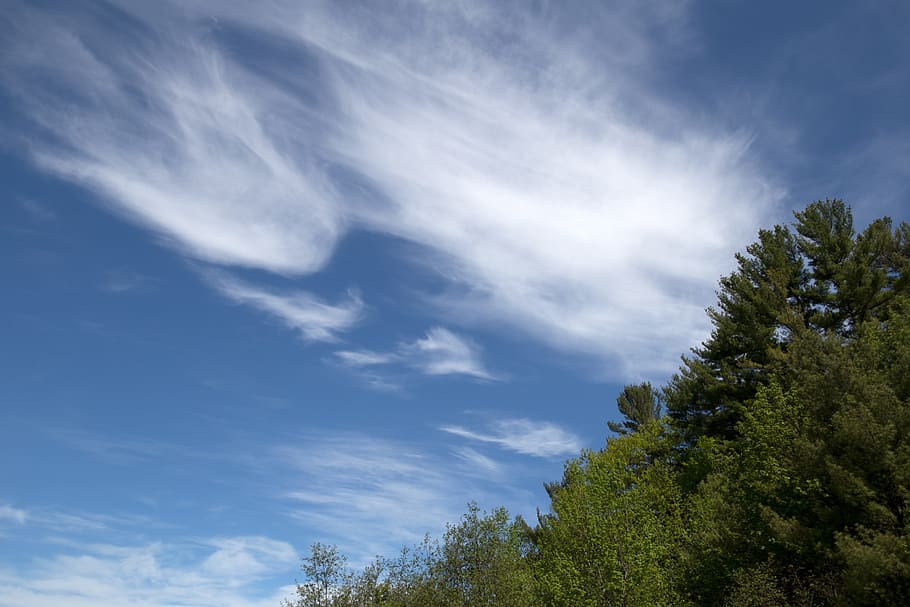 Clouds, Nature, Sky, Trees, cloud - sky, low angle view, beauty in nature HD wallpaper