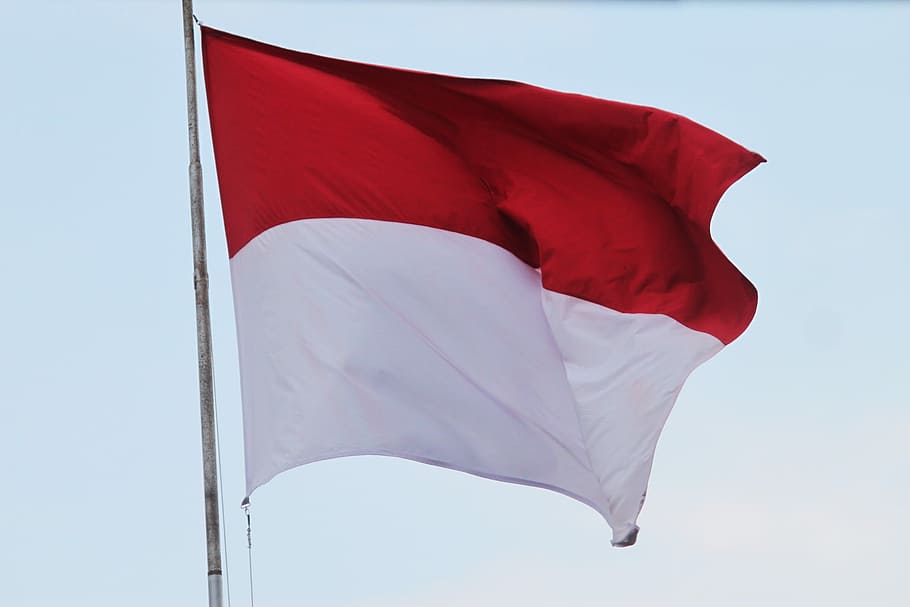 Flag, Indonesian Flag, red and white flag, aflutter, homeland, HD wallpaper