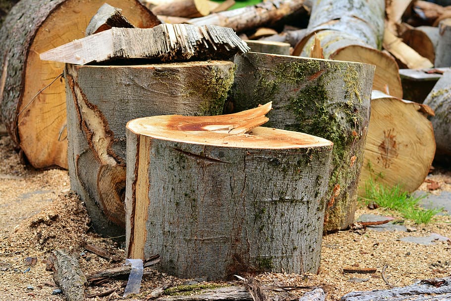 Pemotongan log kayu