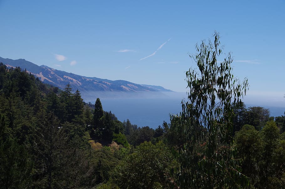 Trees, Mountains, Fog, Ocean, Sea, california, outdoor, landscape HD wallpaper