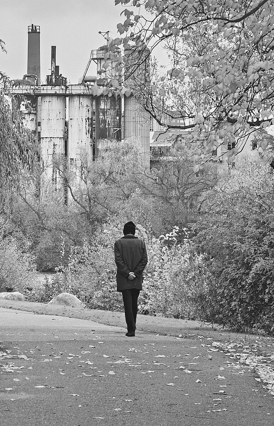 grayscale photo of person standing on street, man, walking HD wallpaper
