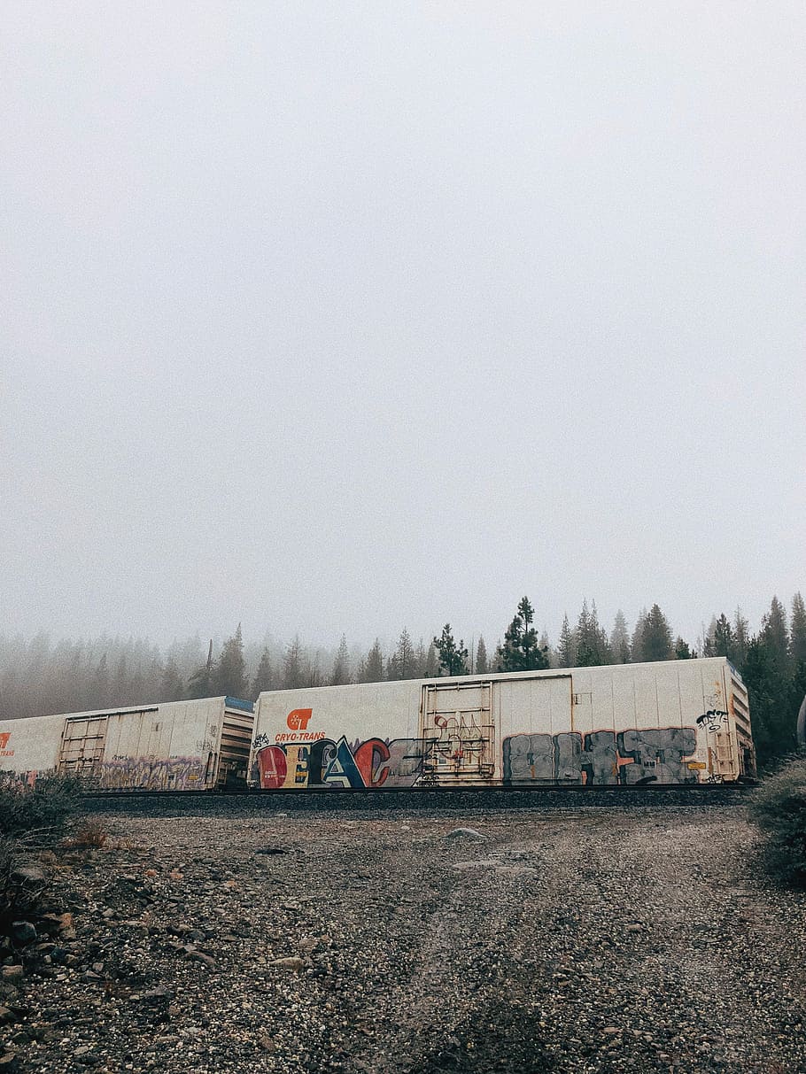 white and black train cars with graffiti, white and multicolored train near forest HD wallpaper