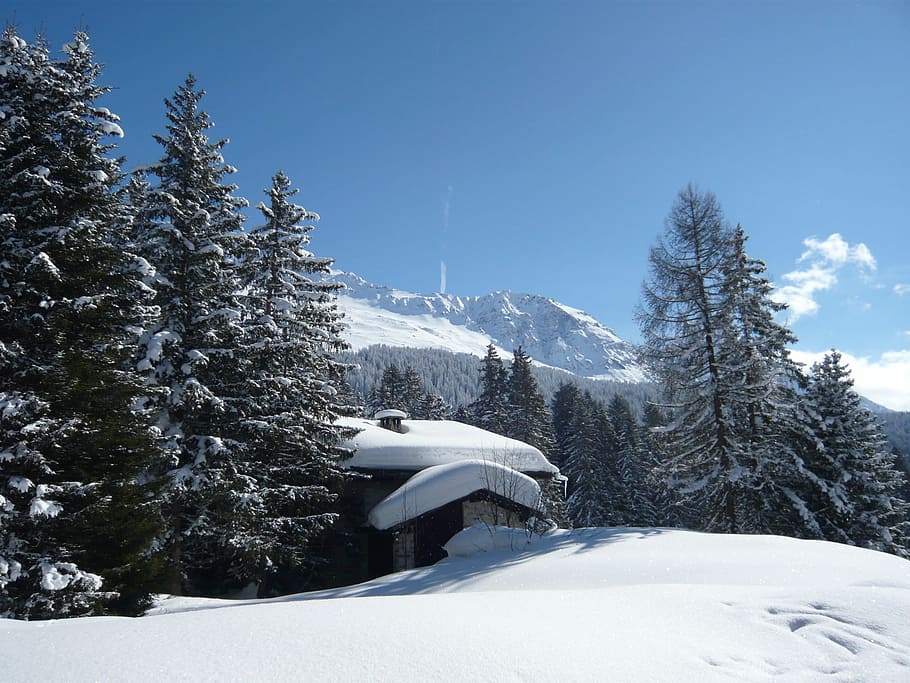 Alpine, Mountain, Switzerland, Nature, sky, graubünden, lenzerheide, HD wallpaper