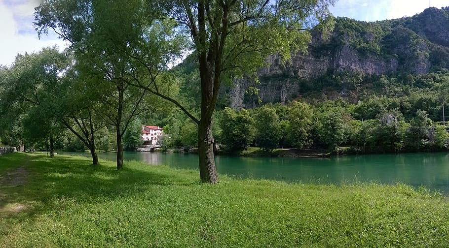 nature, tree, summer, landscape, river, cottage, plant, water HD wallpaper