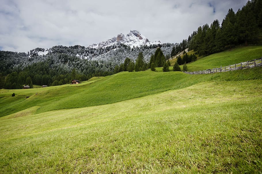 green grassy heel under cloudy sky, green grass field, mountain HD wallpaper