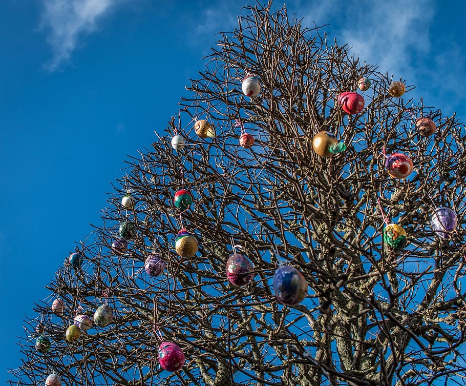 easter, eggs, tree, blue, sky, brown, outdoor, low angle view HD wallpaper