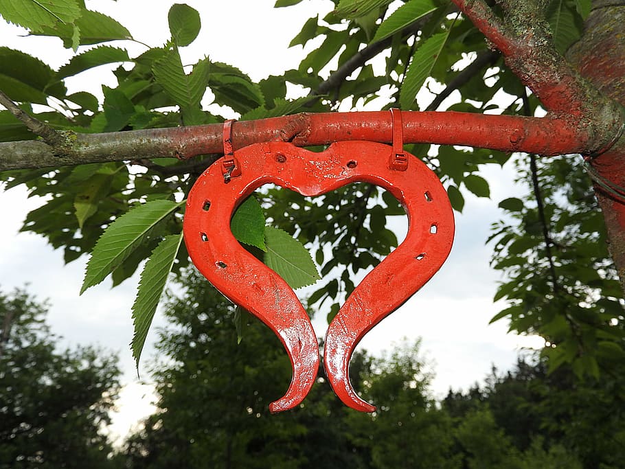 HD wallpaper: horseshoe, heart shape, lucky charm, heart shaped, tree ...