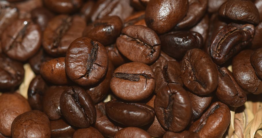 closeup photo of coffee beans, brown, beautiful, aroma, fragrance HD wallpaper