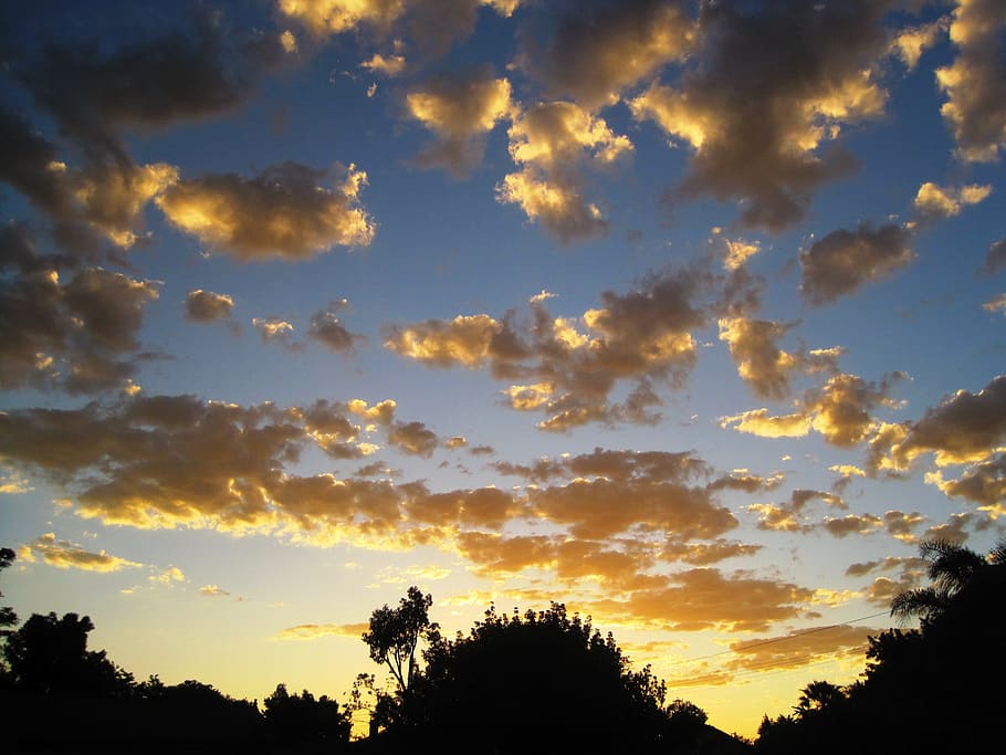 Clouds, Loose, Gold, Light, Sunset, Sky, blue, trees, silhouette HD wallpaper