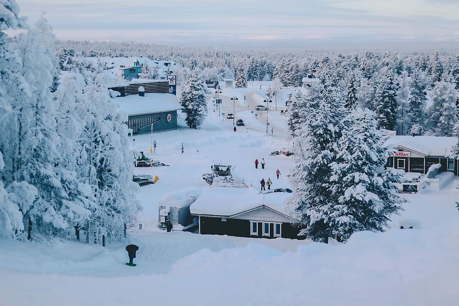 houses near tree and mountain covered by snow, white and black house during winter season, HD wallpaper