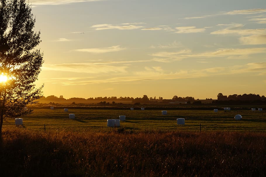 Sunset, Field, Arable, abendstimmung, sky, evening sky, afterglow HD wallpaper