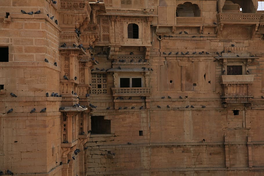 fort, india, rajasthan, architecture, asia, ancient, sandstone, HD wallpaper