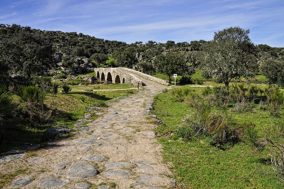 nature, landscape, bridge, sky, green, trees, field, old, path HD wallpaper