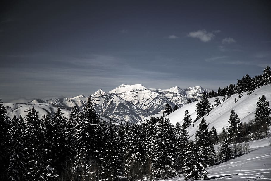 snow covered mountains, snow-covered trees and mountains, landscape photography HD wallpaper