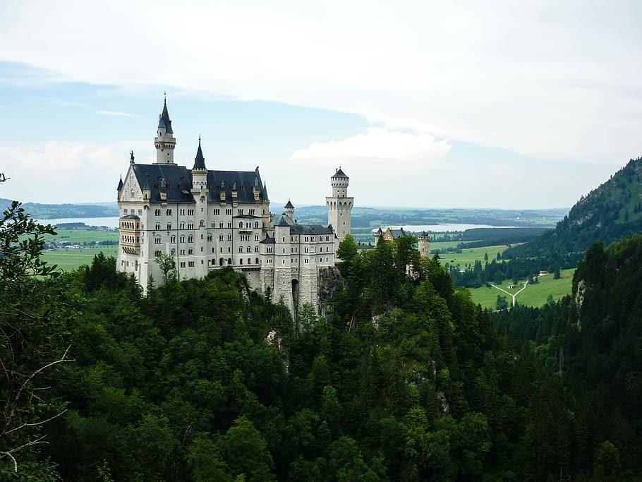 Neuschwanstein, Palace, Bavaria, Castle, germany, europe, ludwig, HD wallpaper