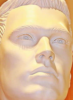 selective focus photography of man bust, Display, Dummy, Face HD wallpaper