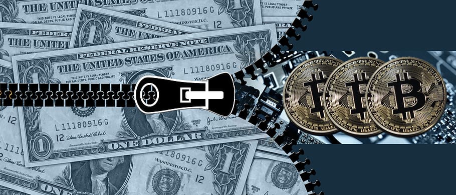 opened zipper with money in it illustration, bitcoin, dollar, HD wallpaper