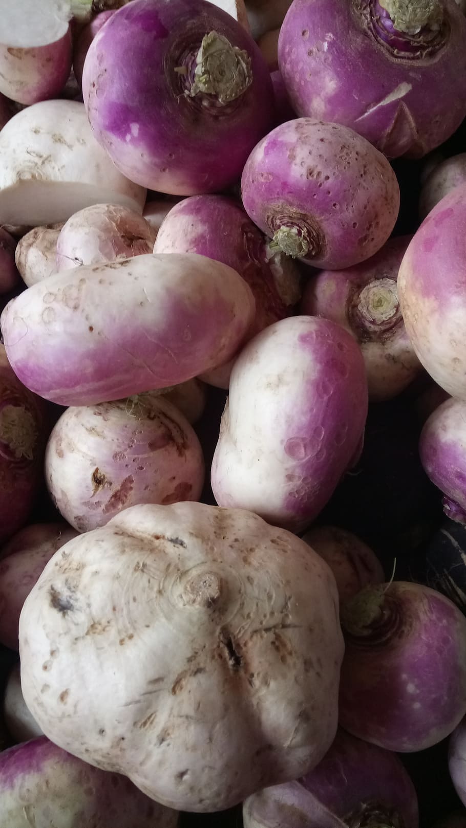 turnip, agriculture, soup, vegetables, edible, garden, vegetarian cooking HD wallpaper