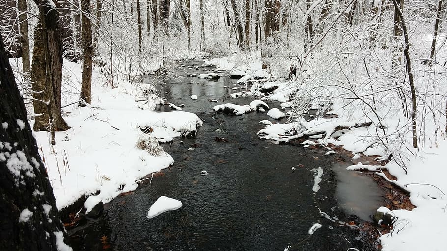 stream, forest, winter, cold temperature, snow, water, nature HD wallpaper