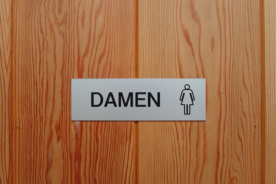 Toilet, Sign, Ladies, Wc, Door, toilet sign, woman, shield, HD wallpaper