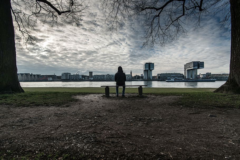 person sitting on bench between leafless trees, architecture HD wallpaper