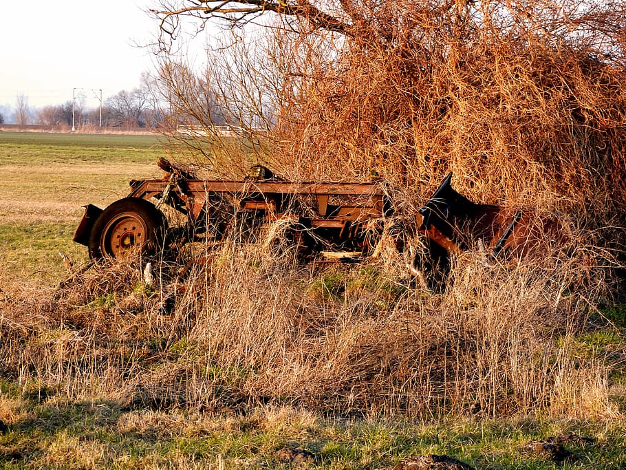 nature, stainless, rusty, metal, old, iron, rusted, broken HD wallpaper