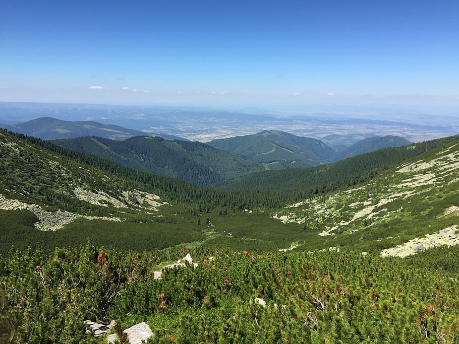retezat, steviile, mountain, forest, landscape, blue, sky, cloud HD wallpaper