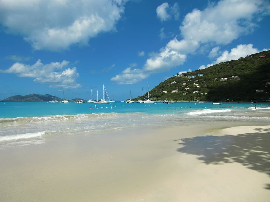 Beach, Palm Trees, Holiday, Clouds, summer, sea, island, cloud - sky HD wallpaper