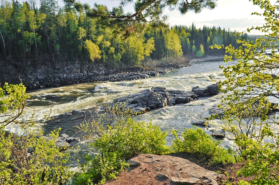 river, flowing, landscape, strong, powerful, taiga, wild, nature HD wallpaper