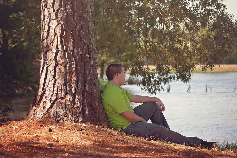 man wearing green shirt sitting lean on tree beside body of water HD wallpaper