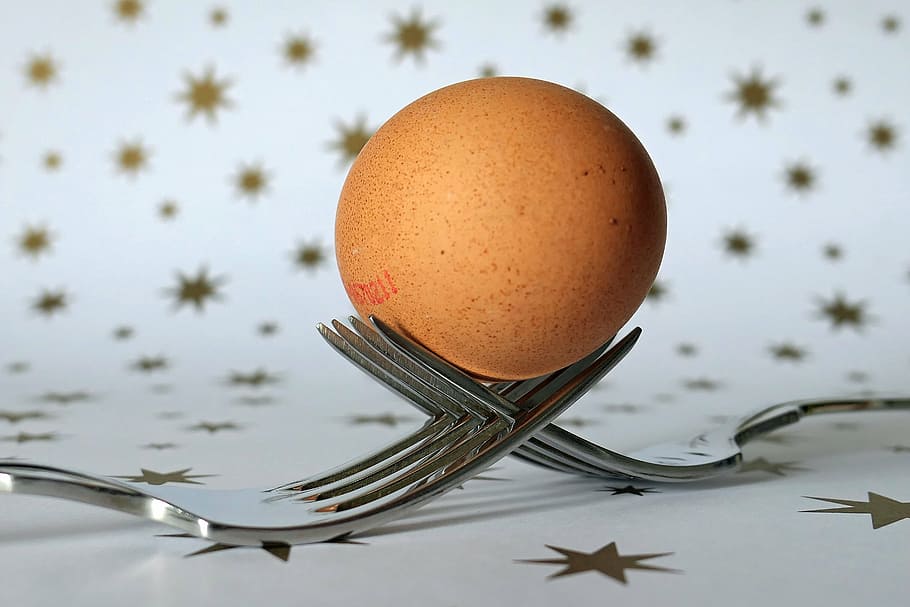 fork, egg, cutlery, food, origin of life, nutrition, frisch HD wallpaper