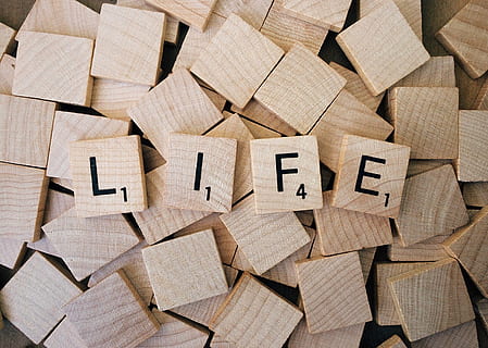 scrabble blocks, life, word, text, large group of objects, full frame HD wallpaper