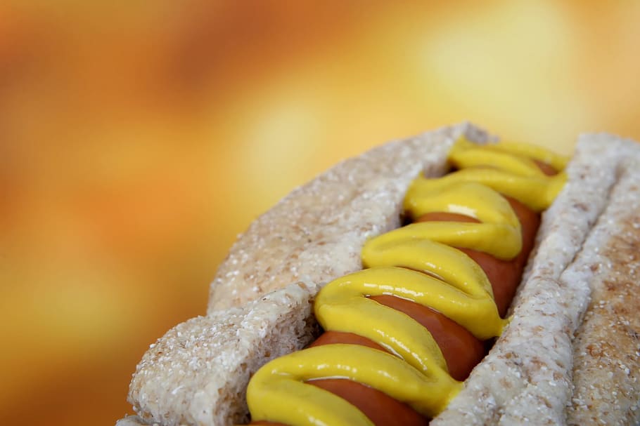 hotdog sandwich, hot dog, bbq, american, away, background, barbecue, HD wallpaper