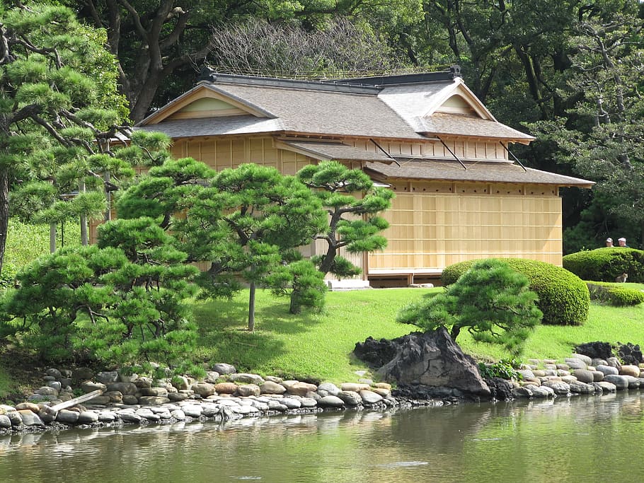 house beside river, japan, japanese teahouse, building, architecture, HD wallpaper