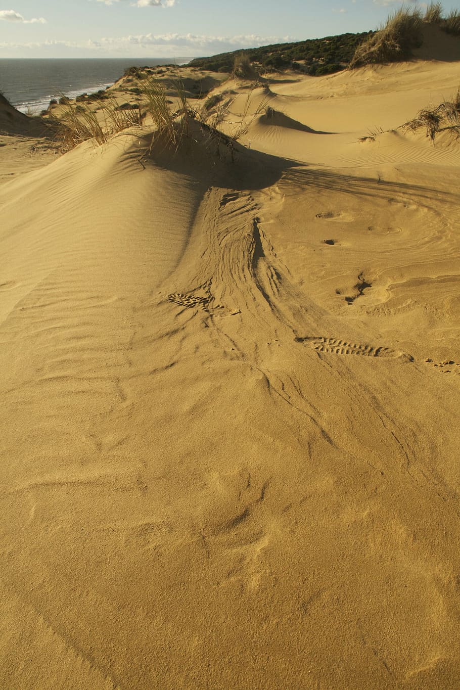dune, sand, landscape, tranquility, scenics - nature, beauty in nature HD wallpaper