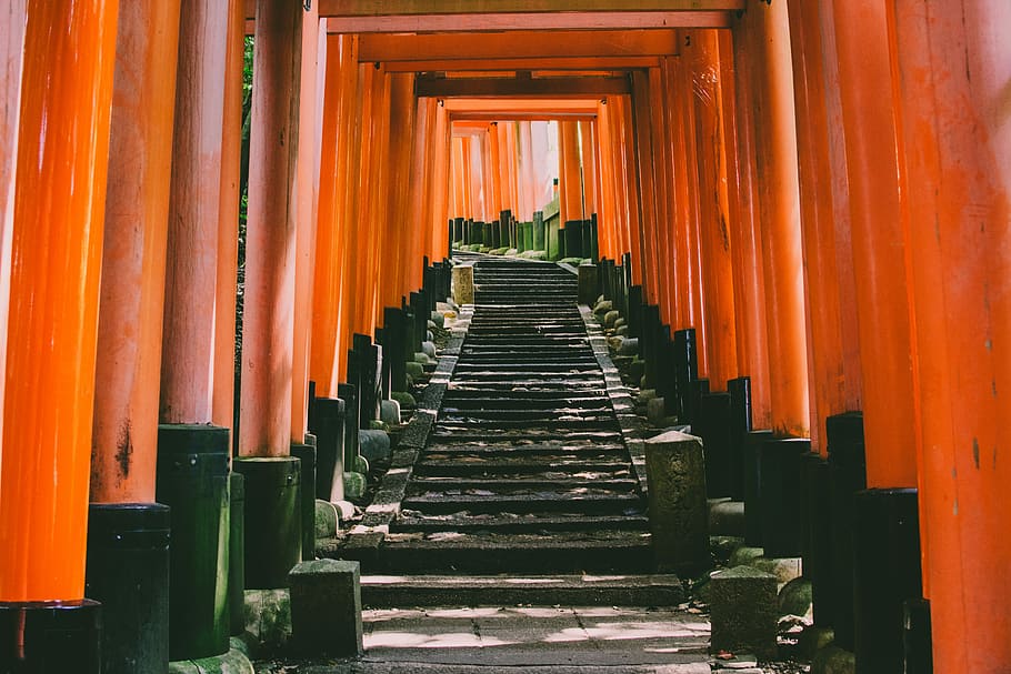 orange concrete torii, red and black wooden posts, temple, structure HD wallpaper