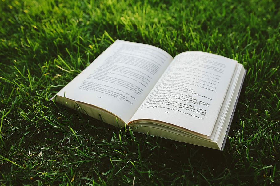Book on the grass, reading, leaf, literature, outdoors, education HD wallpaper