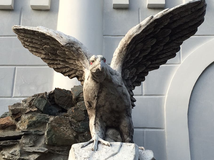 bird, enea, stone flower, eagle, golden eagle, animal, animal themes HD wallpaper