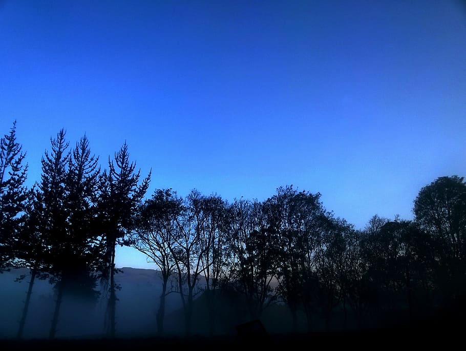 sky, landscape, dawn, tree, plant, silhouette, tranquility HD wallpaper