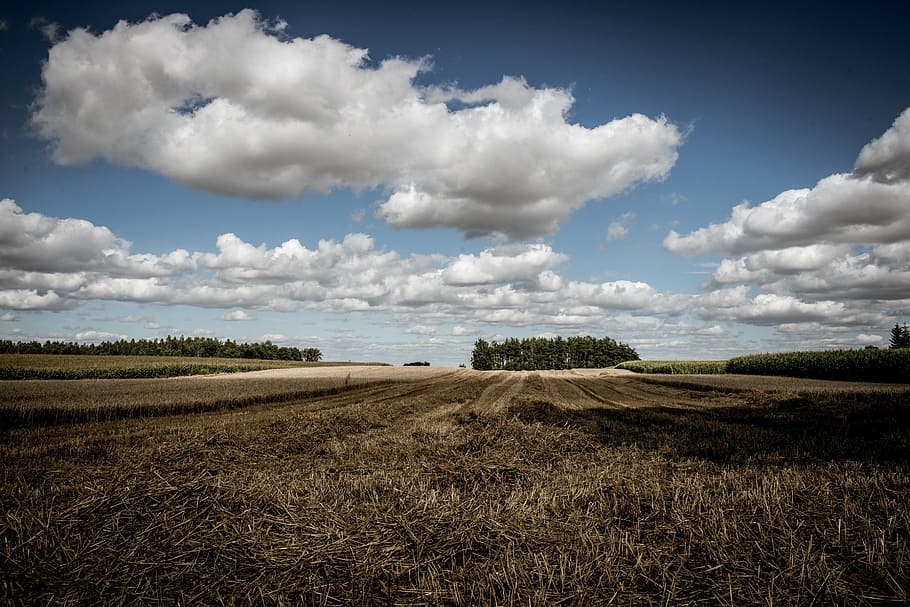 field, clouds, landscape, sky, view, poland, village, field crops HD wallpaper