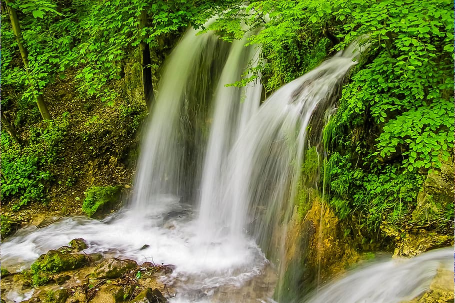 waterfalls with green leaf trees, nature, forest, stream, river HD wallpaper