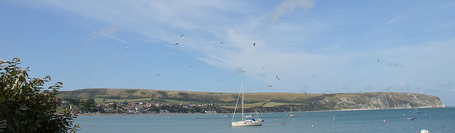 england, boat, sea gulls, devon, water, uk, harbour, english, HD wallpaper