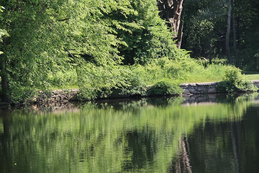 pentucket, lake, reflection, nature, water, summer, beautiful HD wallpaper