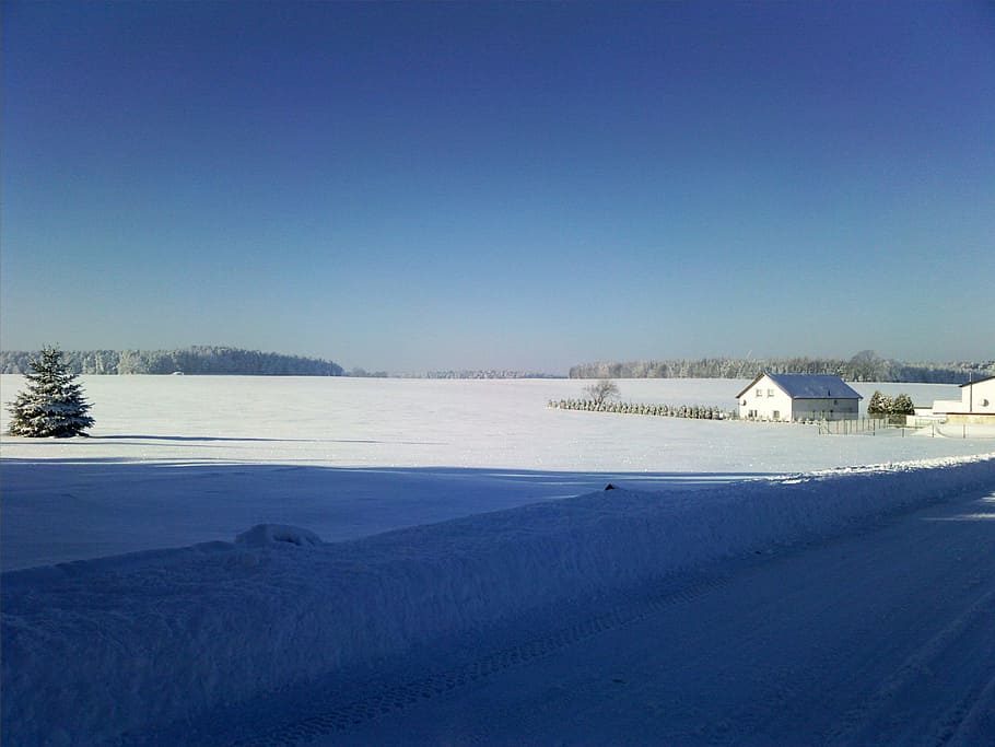 winter, white, cold, sky, snow, cold temperature, blue, nature HD wallpaper