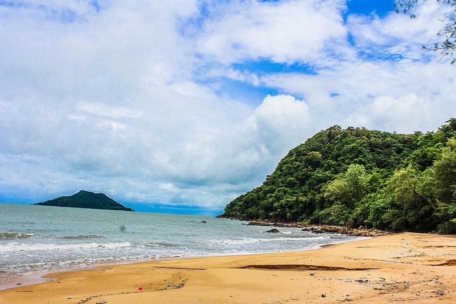 Green Leaf Trees Beside Body of Water, beach, blue, clouds, coast HD wallpaper