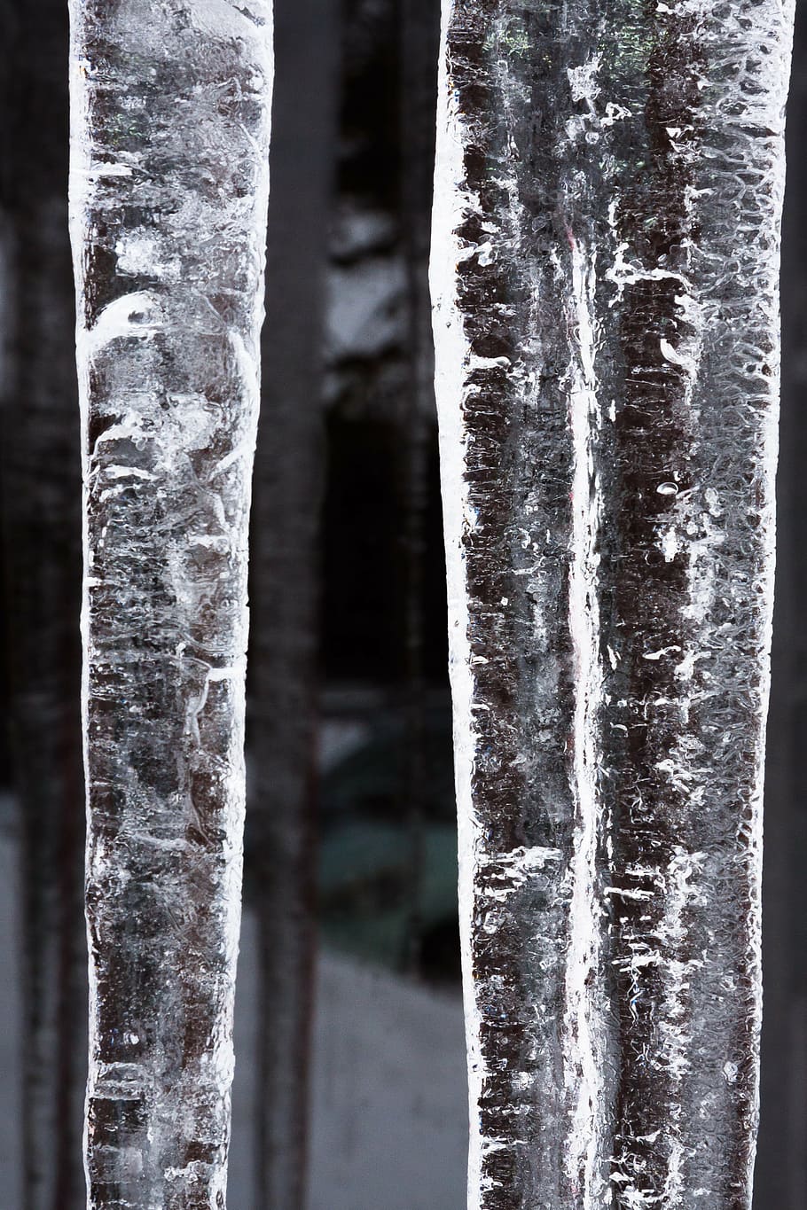 ice, icicle, window, cold, winter, white, frost, snow, frozen HD wallpaper