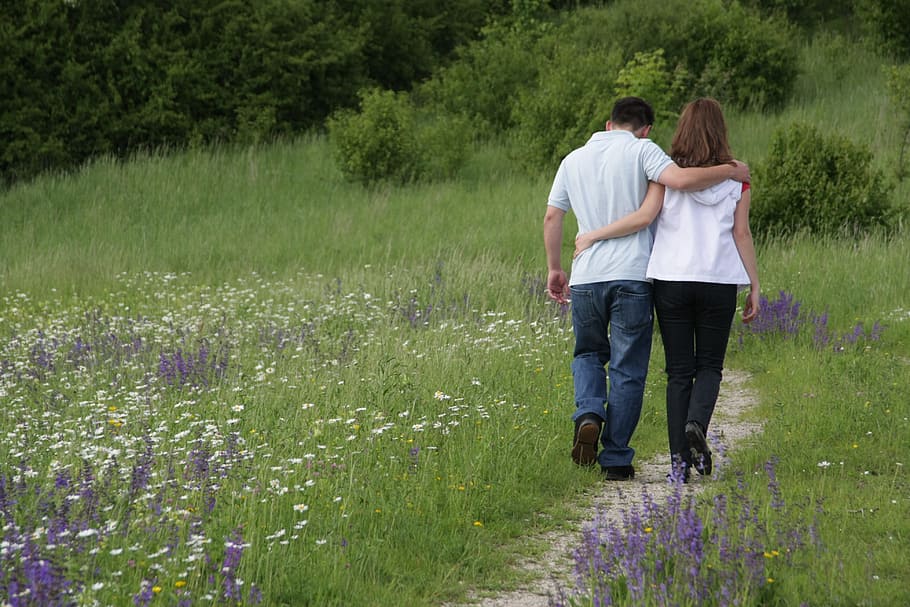 woman in white shirt and man in gray polo shirt hold each holder walk in pathway beside field of flower during daytime, HD wallpaper