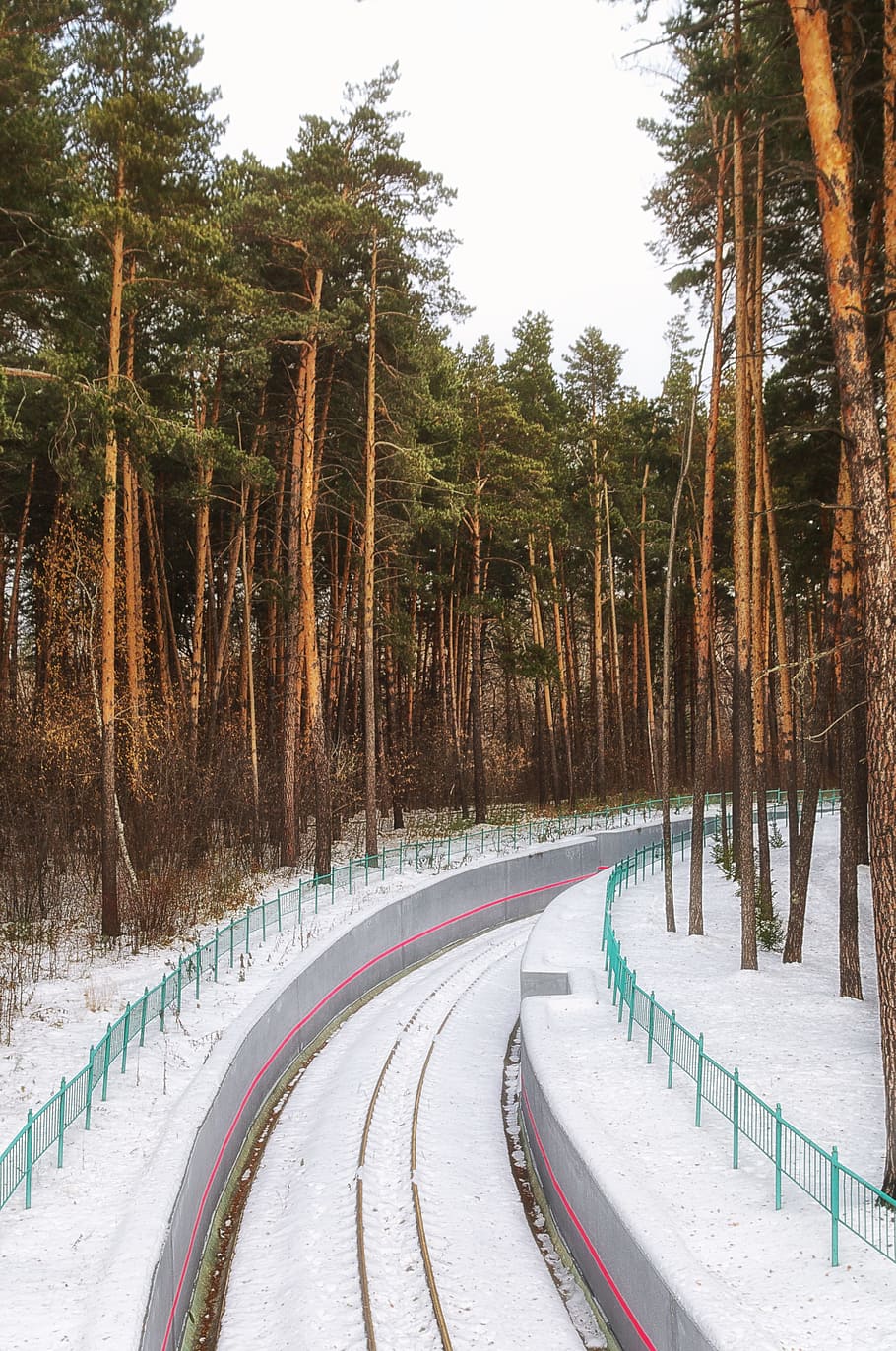 Winter, Forest, Railway, Snow, winter forest, trees, nature HD wallpaper